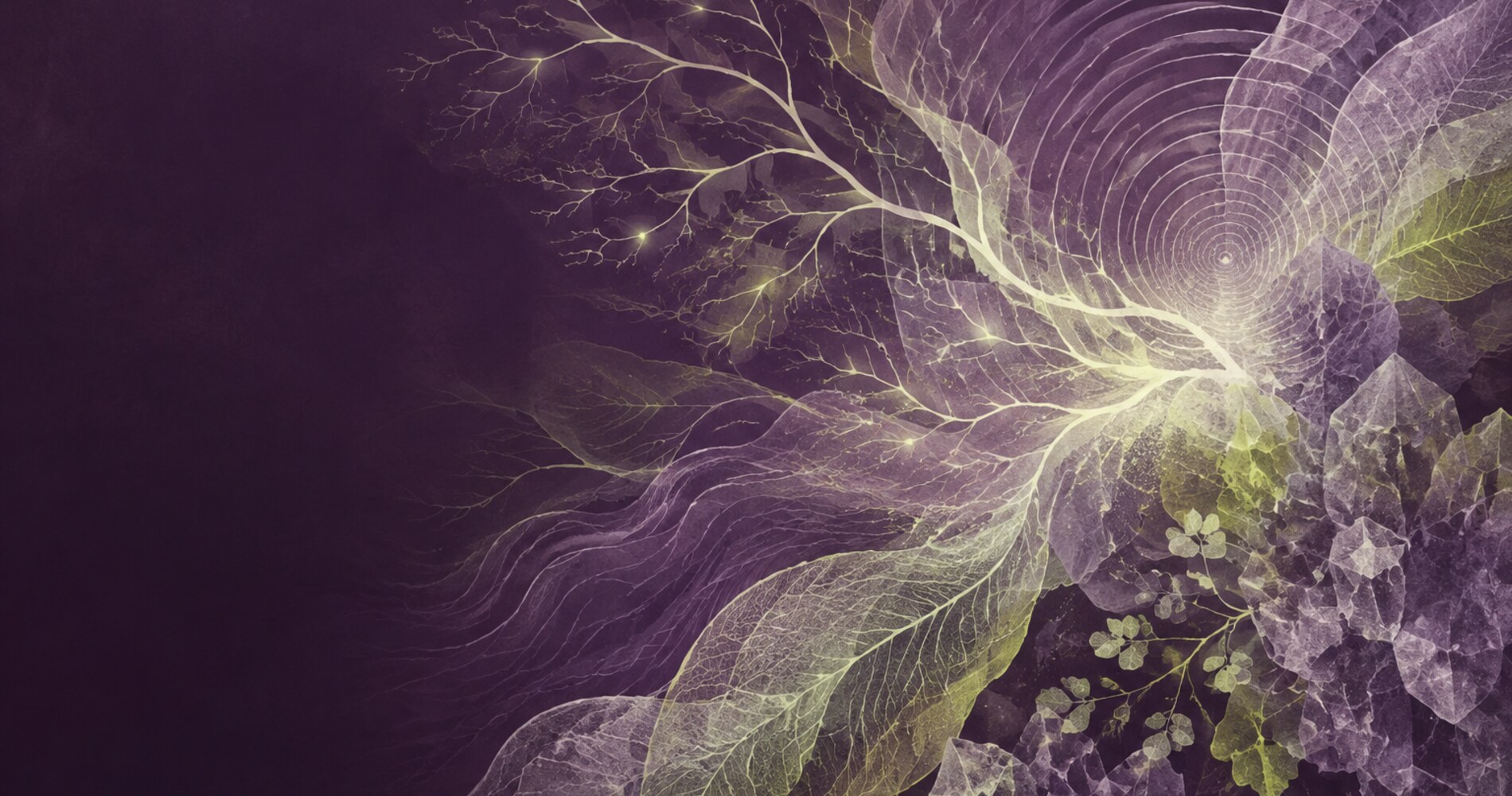 Abstract neural pathways, botanical layers and cortical wave forms